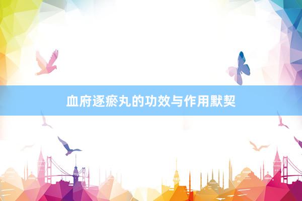 血府逐瘀丸的功效与作用默契